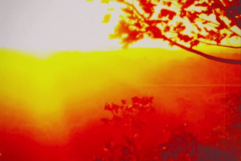 Wunder Wunder - cocteaulab