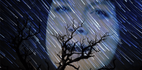 Kirsty Hawkshaw - Cocteaulab 2