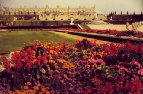 cocteaulab_2016_remi_parson